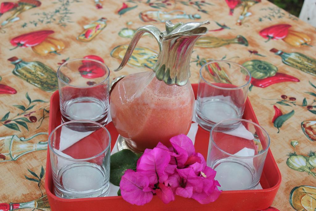 Hare Pakoba Guest House Hanga Roa Dış mekan fotoğraf